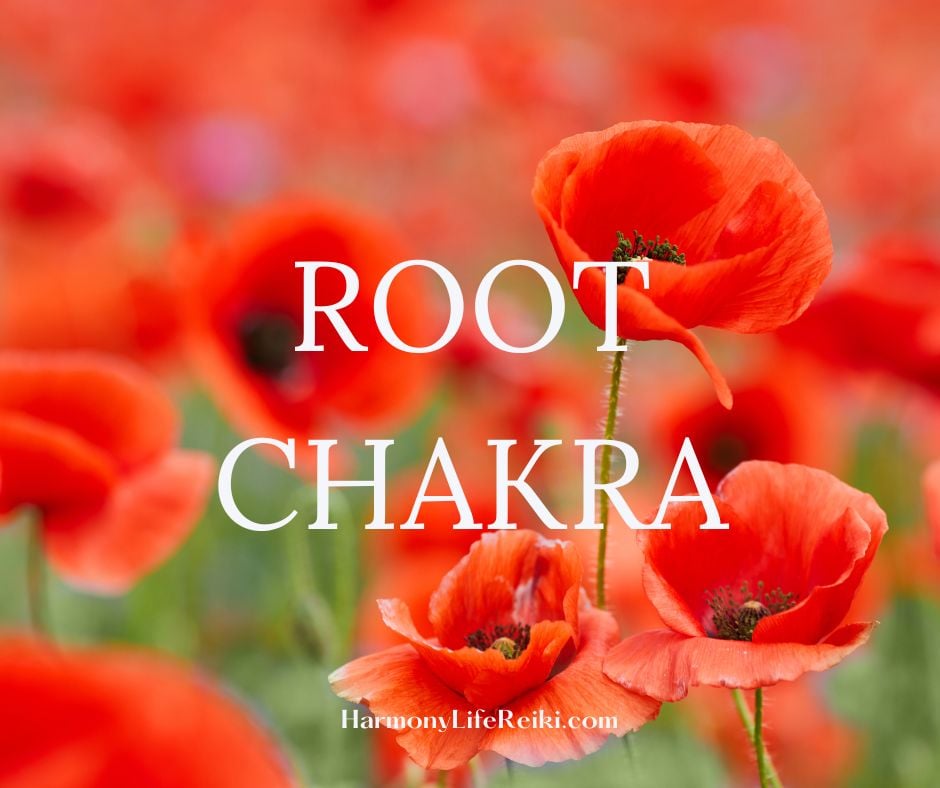 359543 Custom Site Themes Id Hkhli0rtlgiqkfofbhdq Chakra 1